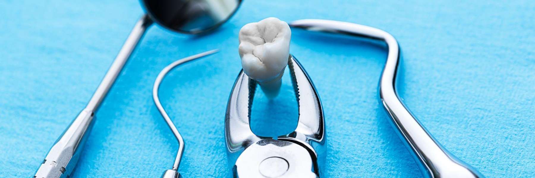 A picture of a tooth taken out from a patient in High Point, NC