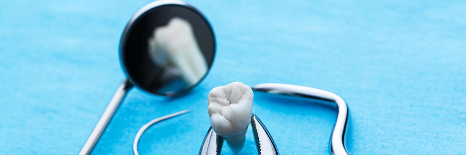 An illustration of dental examination tools in High Point, NC