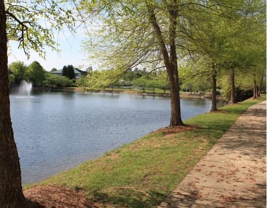 dentist high point | nearby lake